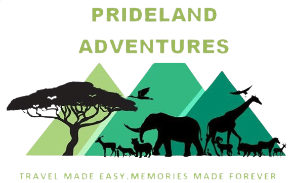 Pride Land Adventures Limited